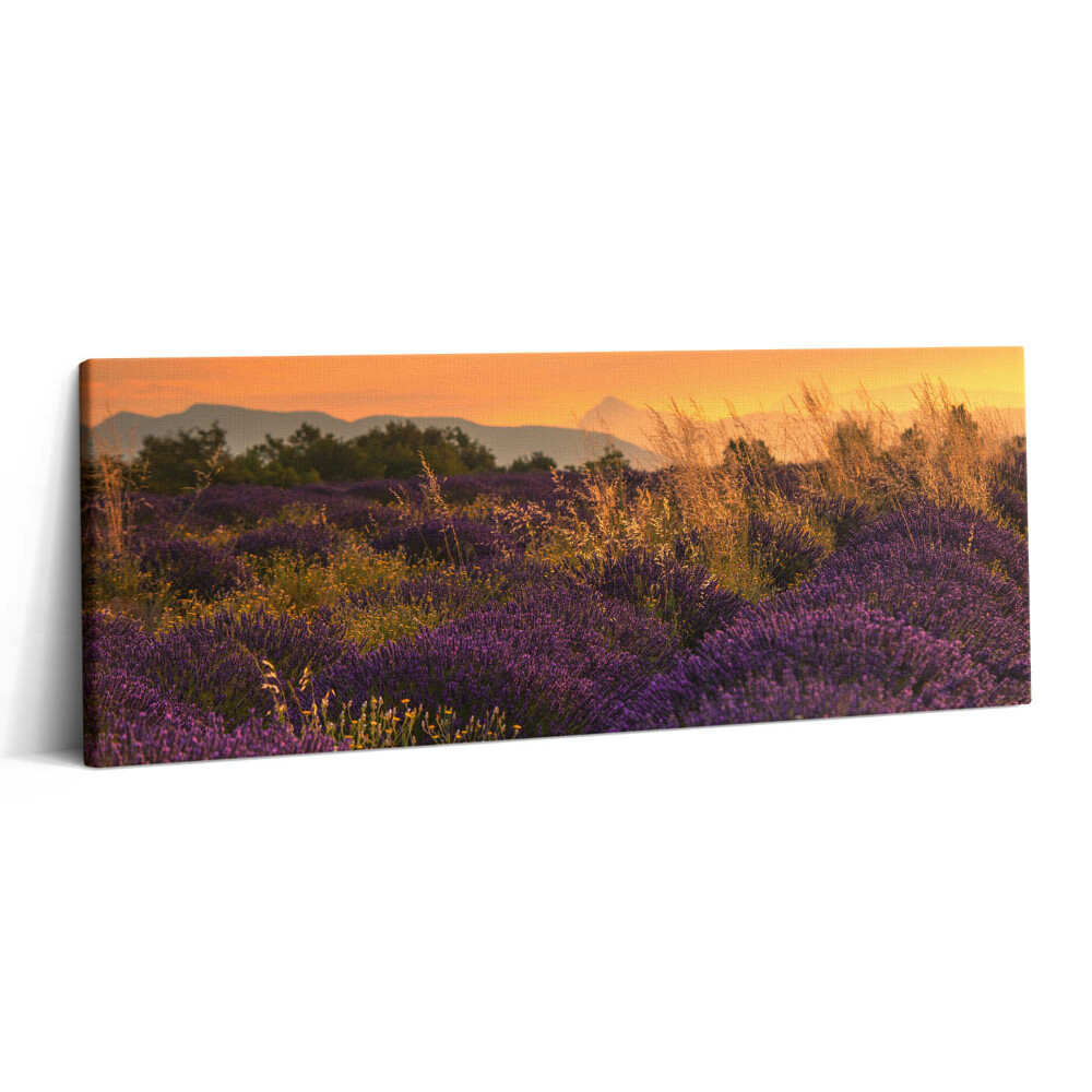 Print pe canvas 125x50 Pajiște de lavandă Provence Franța
