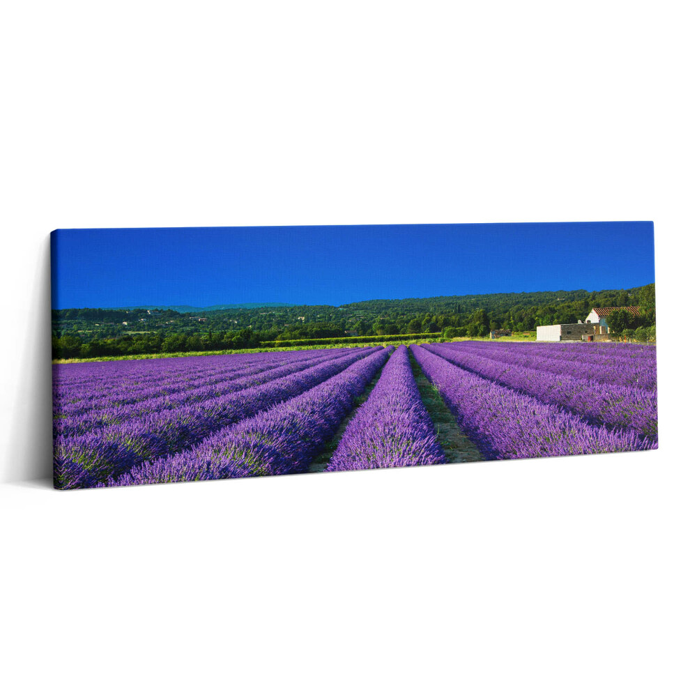 Print pe canvas 125x50 Câmp de lavandă în Provence