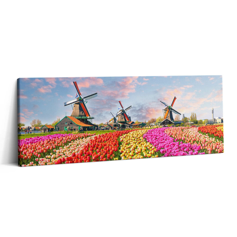 Print pe canvas 125x50 Peisaj cu lalele Olanda