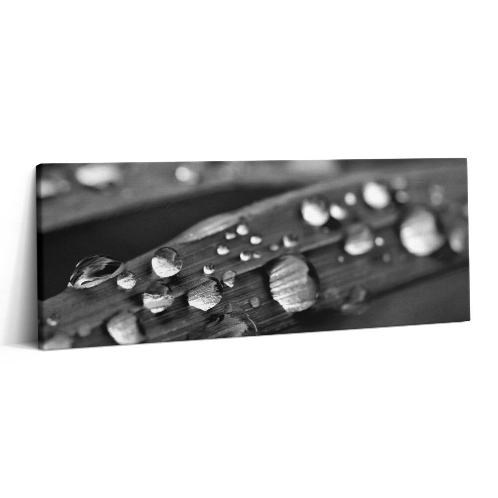 Print pe canvas 125x50 Frunză de trandafir alb-negru