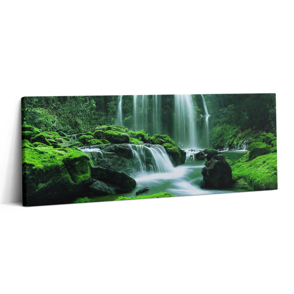 Print pe canvas 125x50 Cascadă printre mușchi