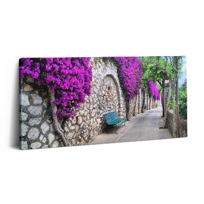 Print pe pânză 140x70 Drumul Florilor din Capri, Italia