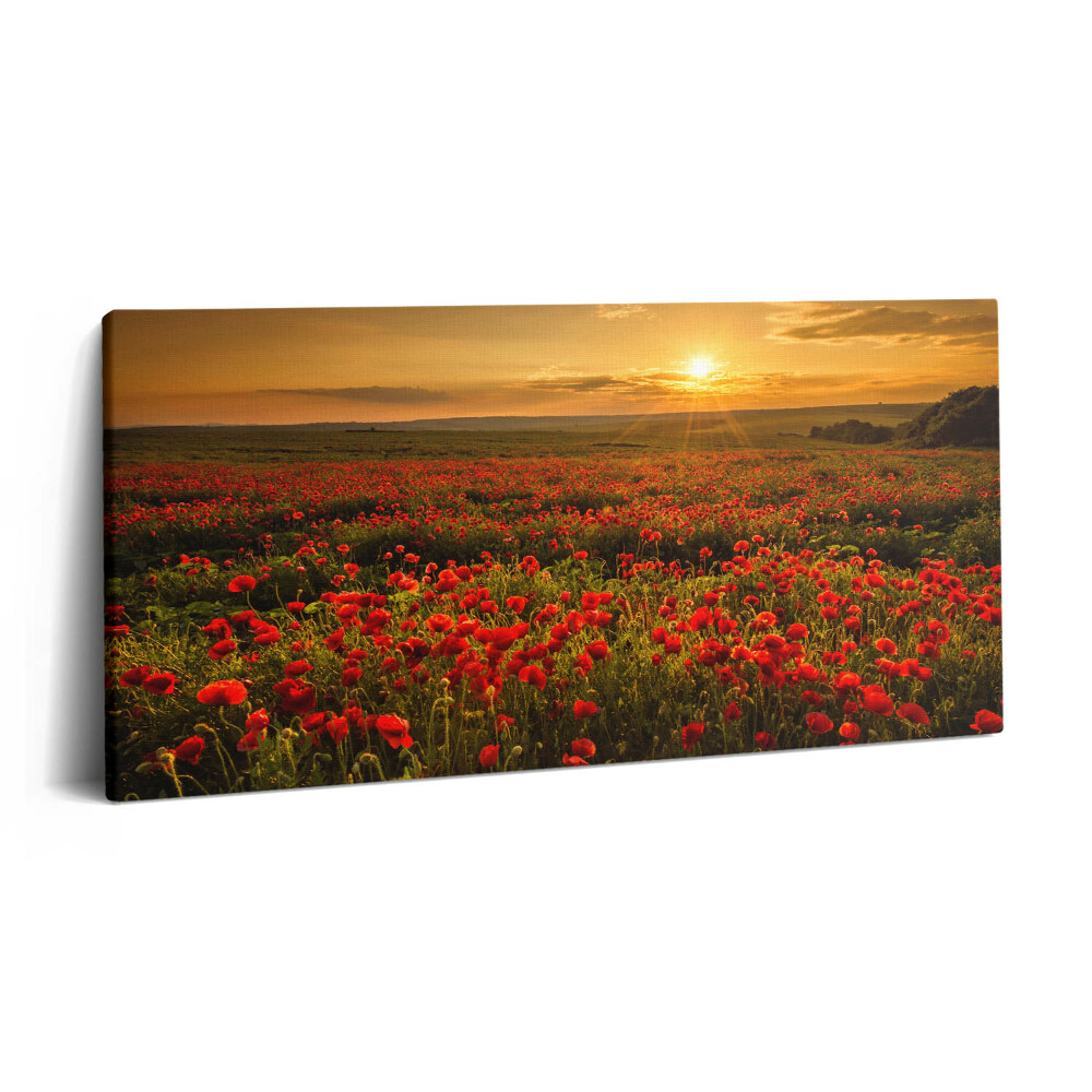 Print pe pânză 140x70 Peisaj al unei poiană cu maci