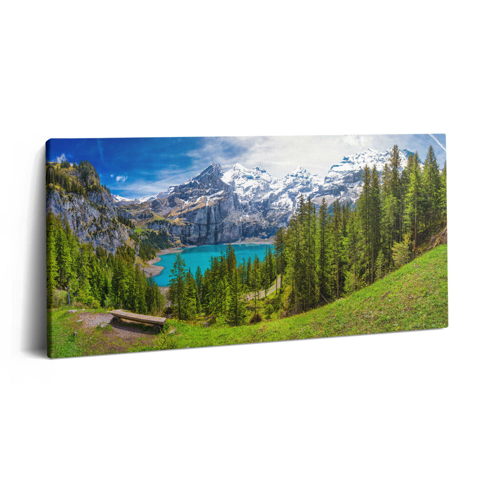 Print pe pânză 140x70 Peisaj de pajiști și munți