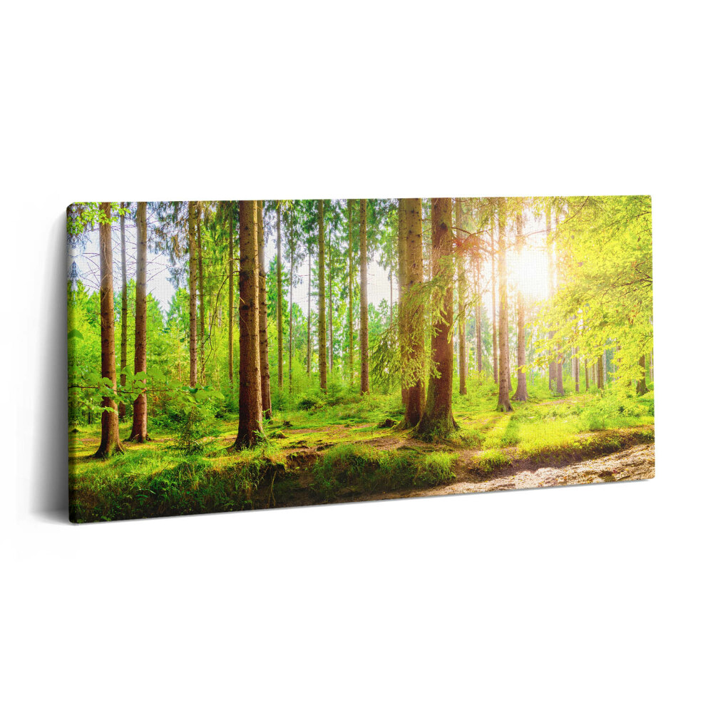 Print pe pânză 140x70 Pădurea la soare