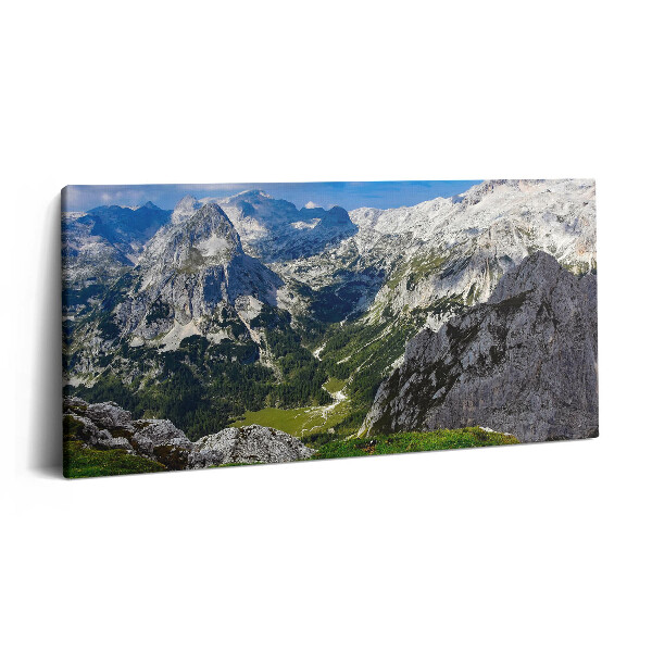 Print pe pânză 140x70 Peisajul Munților Stâncoși