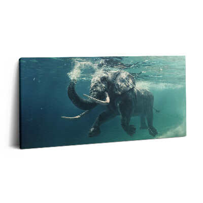 Print pe pânză 140x70 Elefant african în apă