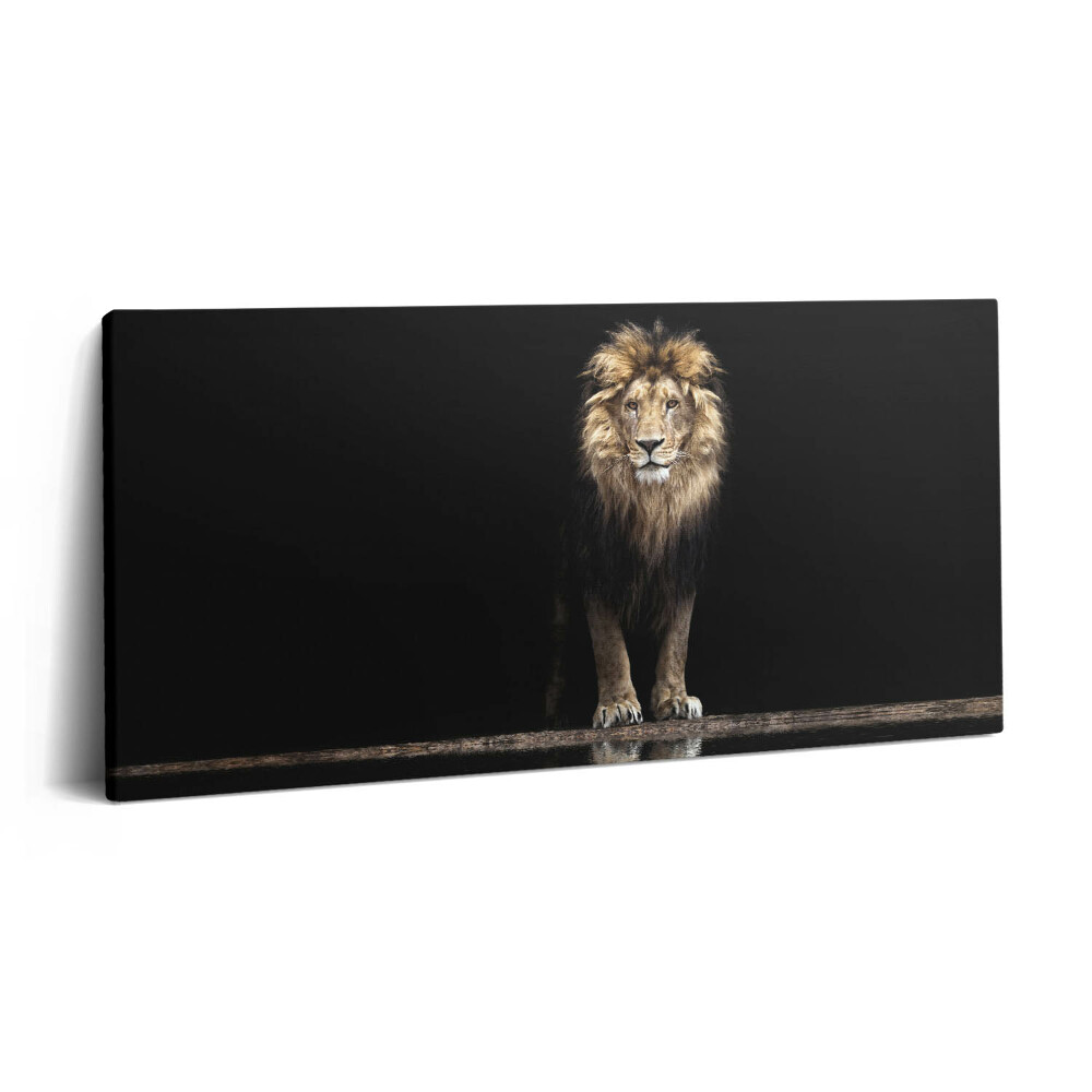 Print pe pânză 140x70 Leu singuratic, animal sălbatic