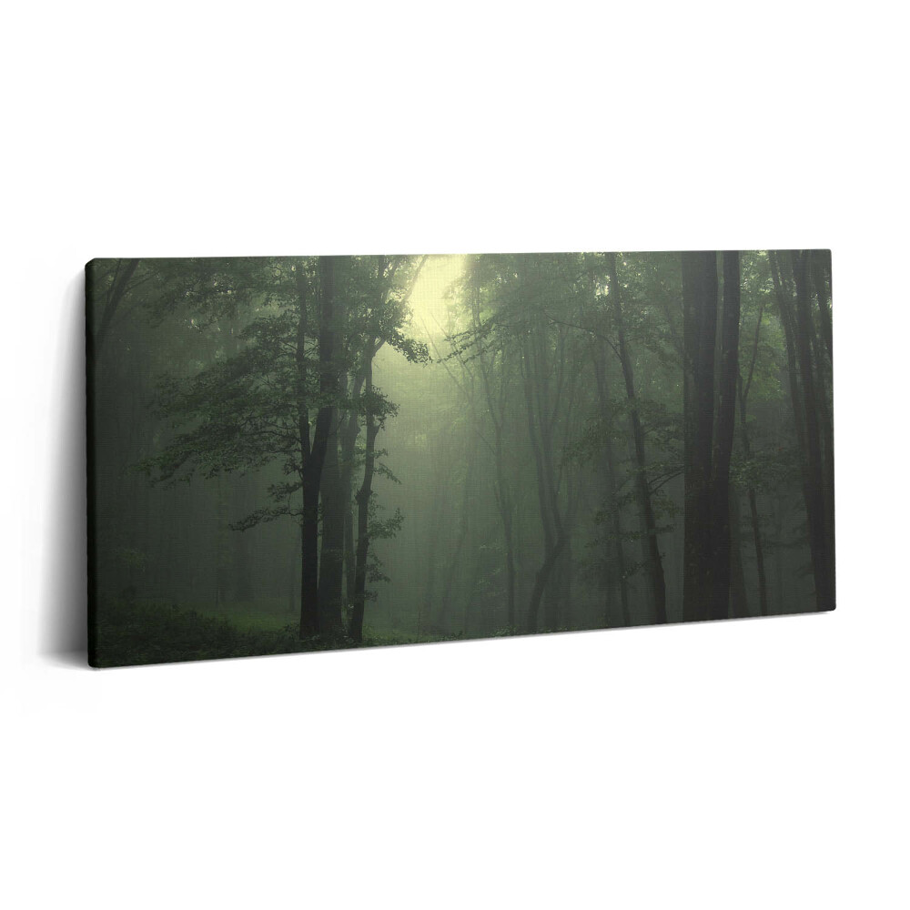 Print pe pânză 140x70 Pădurea încețoșată dimineața