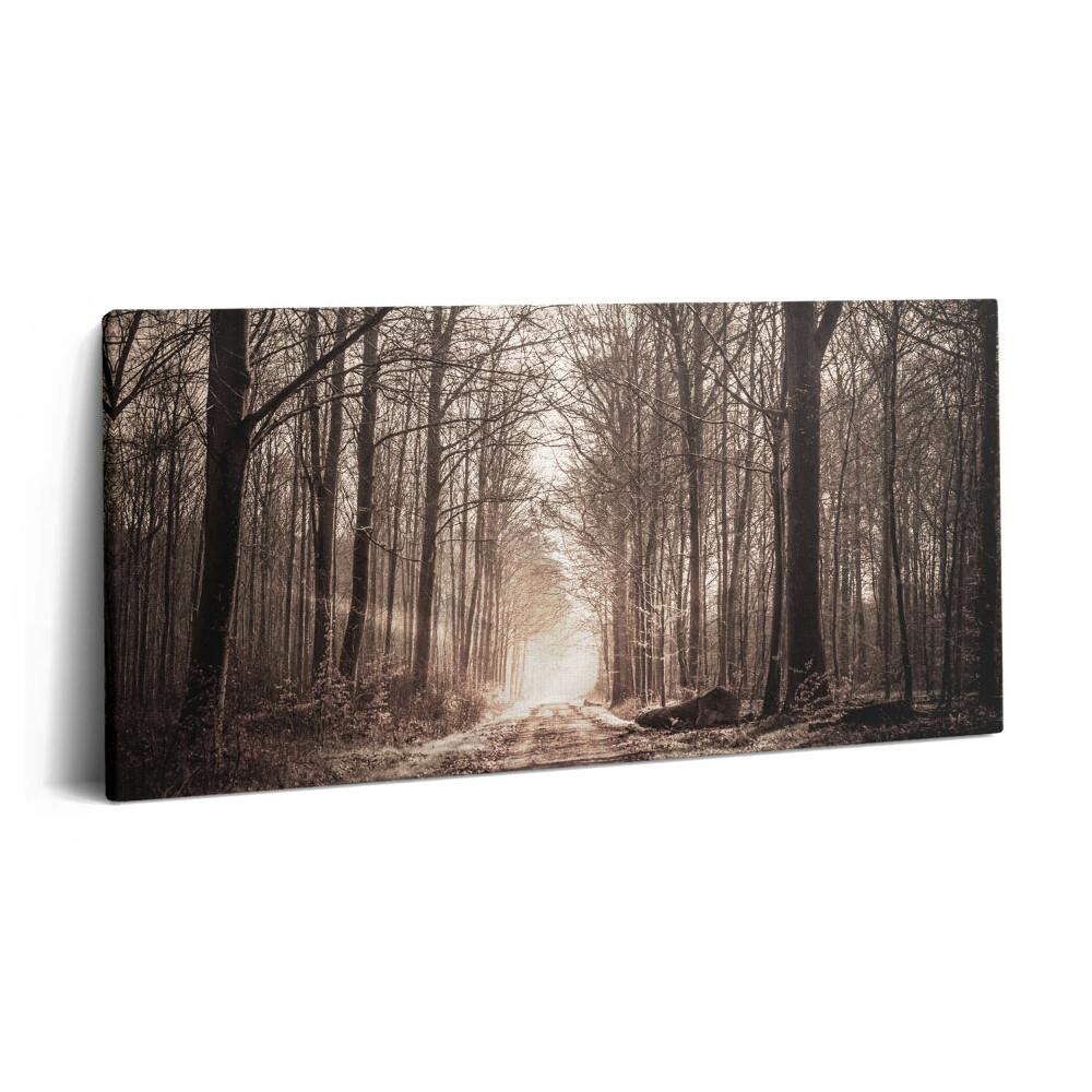 Print pe pânză 140x70 Cale de pădure în tonuri sepia