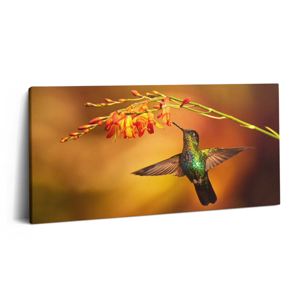 Print pe pânză 140x70 Colibri
