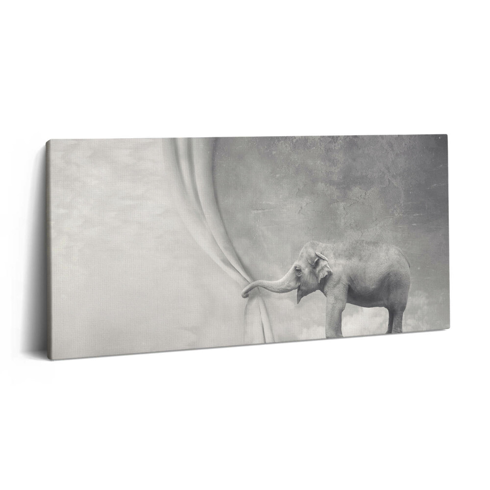Print pe pânză 140x70 Elefantul din spatele cortinei