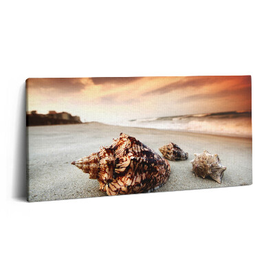 Print pe pânză 140x70 Scoici pe plajă