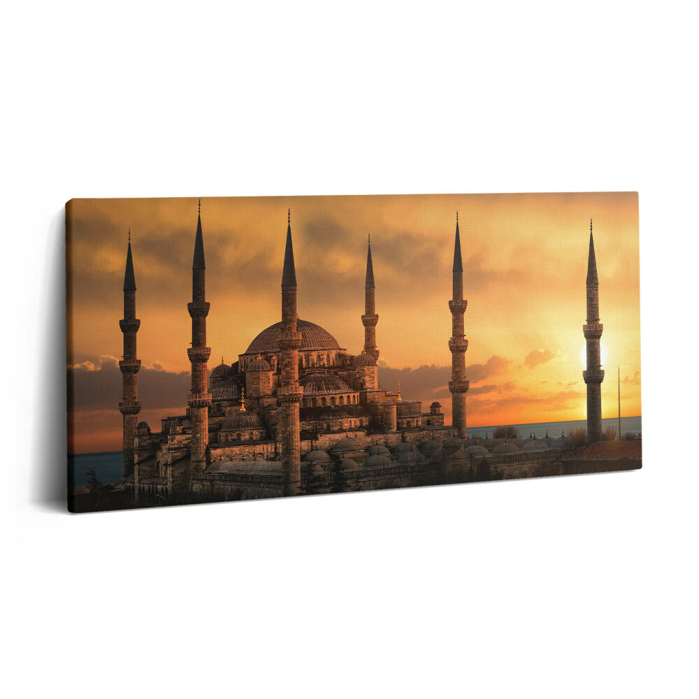 Print pe pânză 140x70 Moscheea din Istanbul