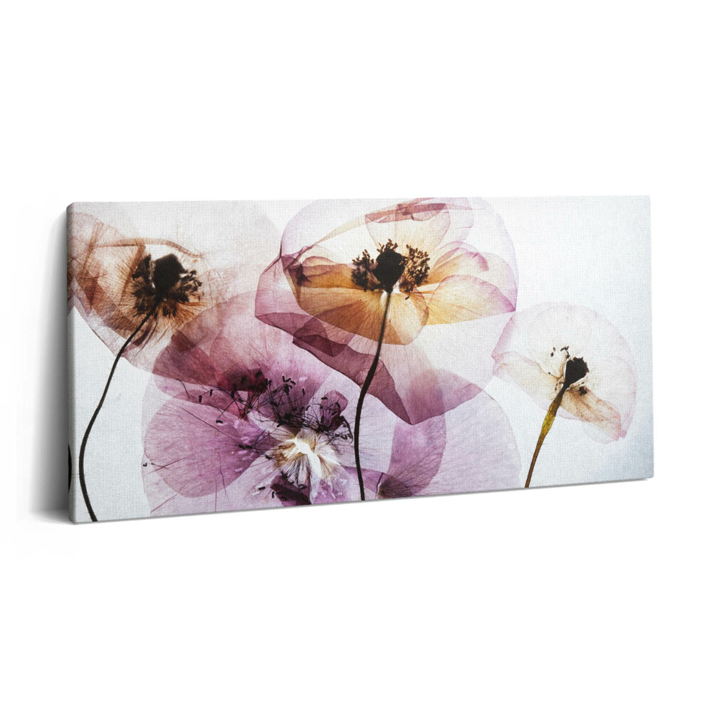 Print pe pânză 140x70 Flori de mac uscate