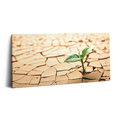 Print pe pânză 140x70 Plantați în sol uscat
