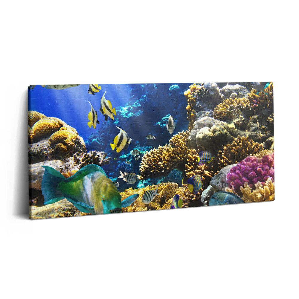 Print pe pânză 140x70 Fotografie cu pești pe un recif de corali