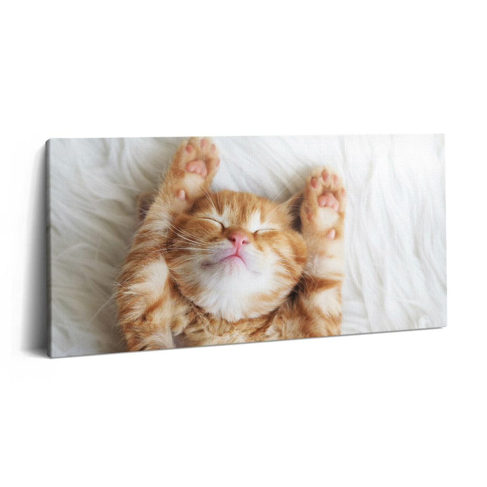 Print pe pânză 140x70 Pisicuță adormită