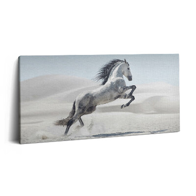 Print pe pânză 140x70 Cal alb galopant