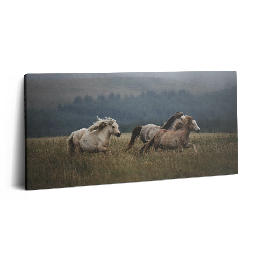 Print pe pânză 140x70 Caii galopând în sus
