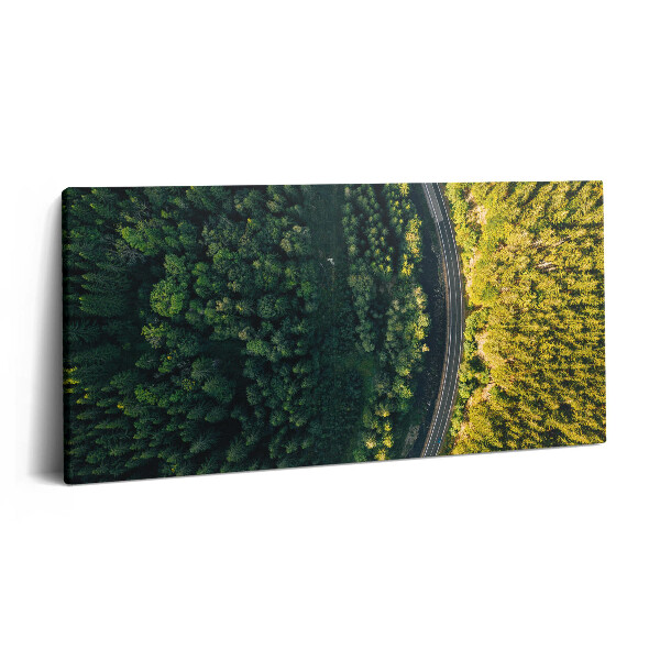 Print pe pânză 140x70 Pădurea dintr-o dronă - Muntele Śnieżka
