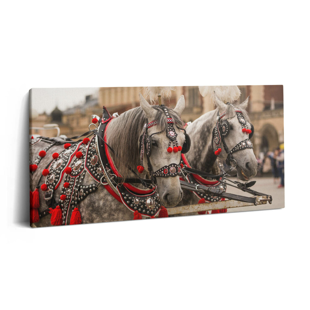 Print pe pânză 140x70 Cai frumoși în Cracovia