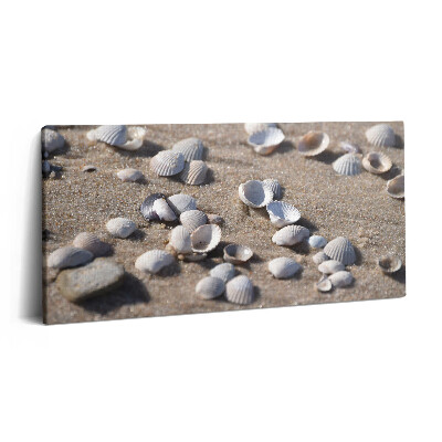 Print pe pânză 140x70 Scoici pe plajă