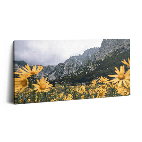 Print pe pânză 140x70 Pajiște cu flori din Munții Tatra