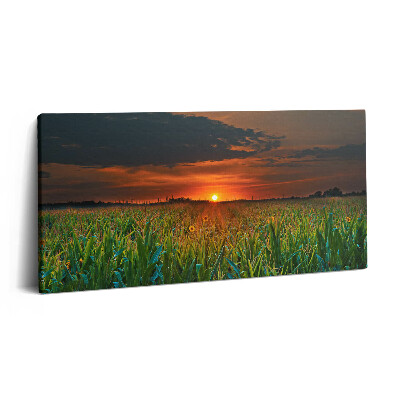 Print pe pânză 140x70 Floarea-soarelui în pajiște