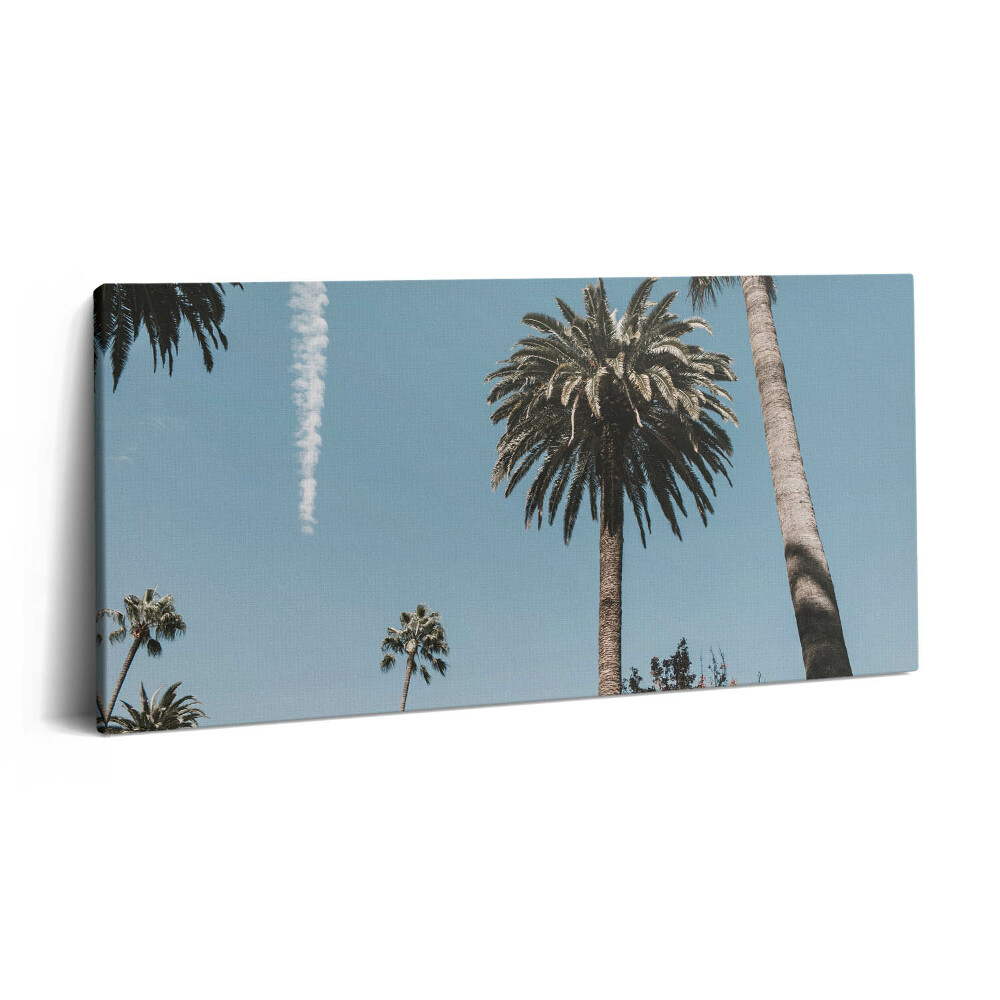 Print pe pânză 140x70 Palmieri în Los Angeles
