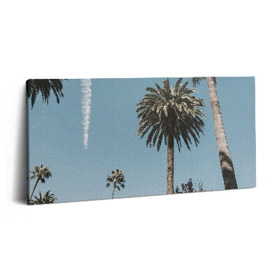 Print pe pânză 140x70 Palmieri în Los Angeles