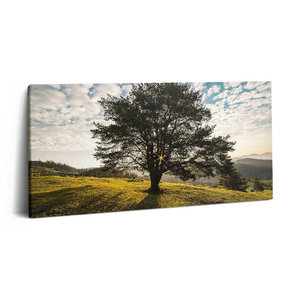 Print pe pânză 140x70 Un copac cu frunze pe un deal