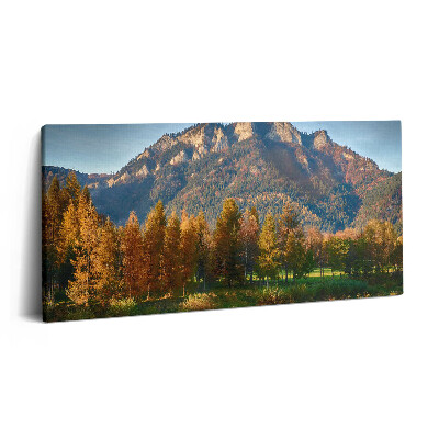 Print pe pânză 140x70 Vârful Trei Coroane