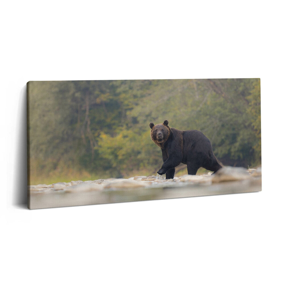 Print pe pânză 140x70 Urs în Munții Bieszczady