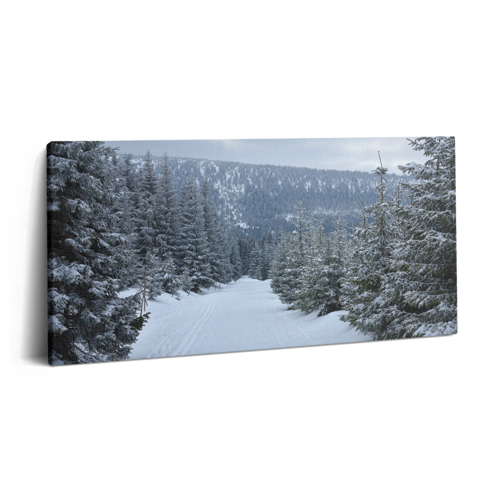 Print pe pânză 140x70 Munții Giganți Cehi în timpul iernii