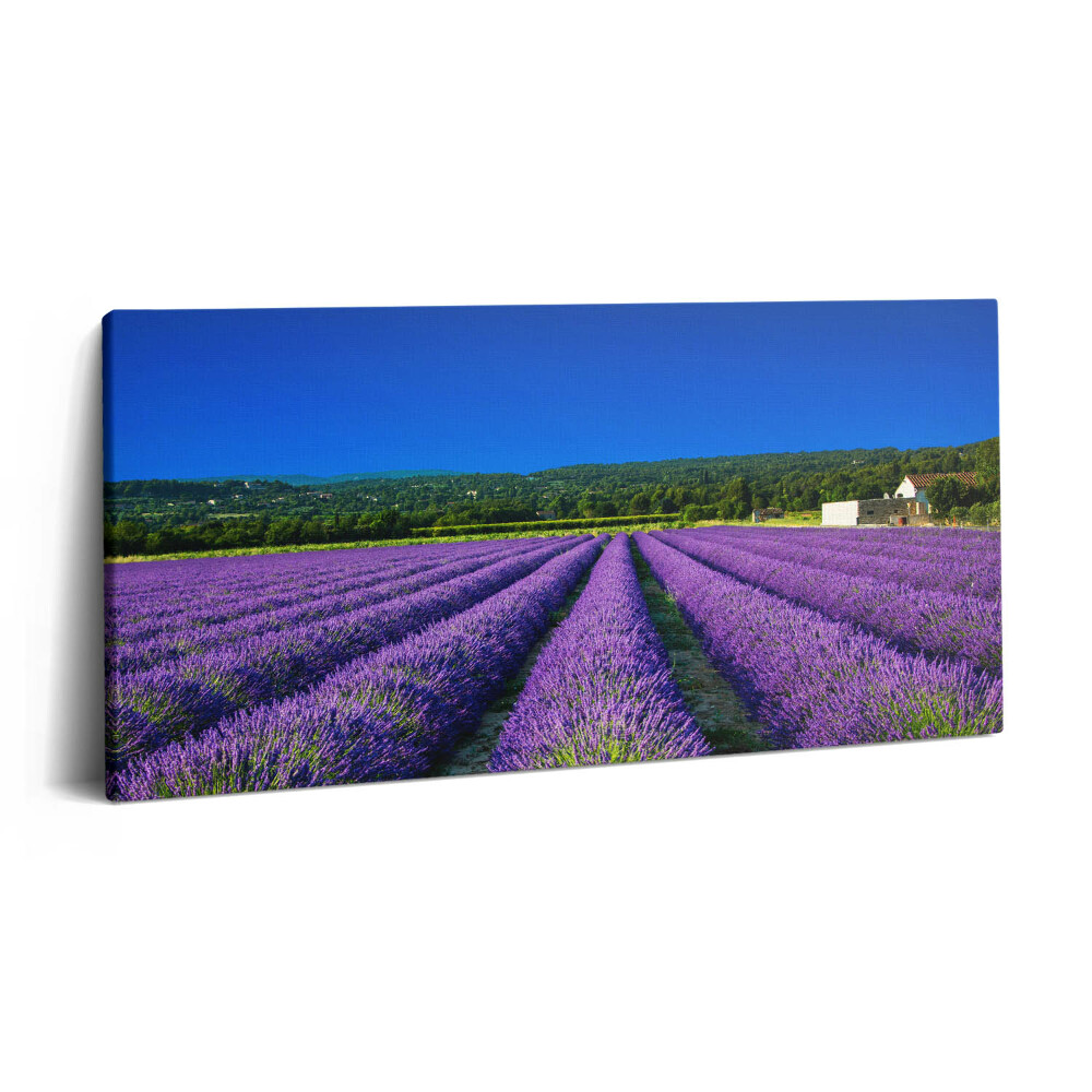 Print pe pânză 140x70 Câmp de lavandă în Provence