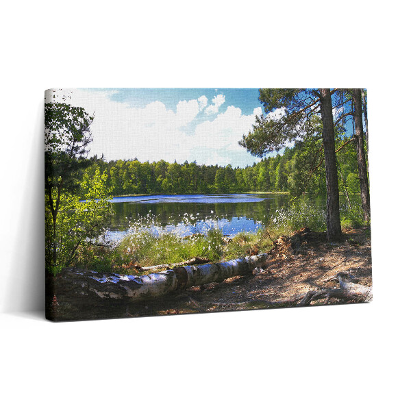 Tablou canvas 30x20 Vedere a lacului în pădure