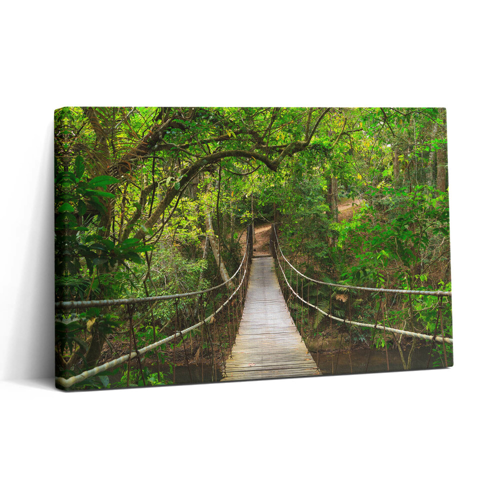 Tablou canvas 30x20 Pod în jungla Khao Yai