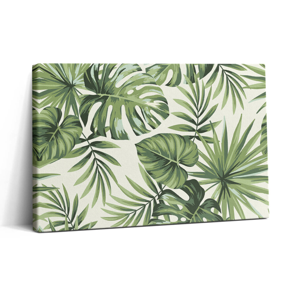 Tablou canvas 30x20 Ilustrație cu frunze de Monstera