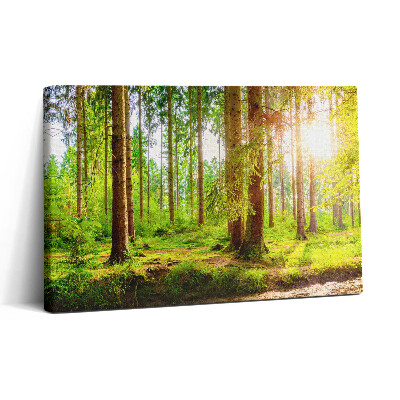 Tablou canvas 30x20 Pădurea la soare