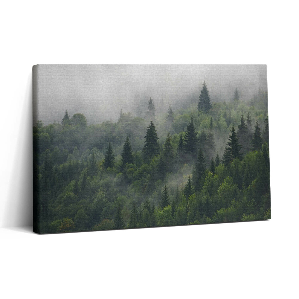 Tablou canvas 30x20 Peisaj forestier în ceață