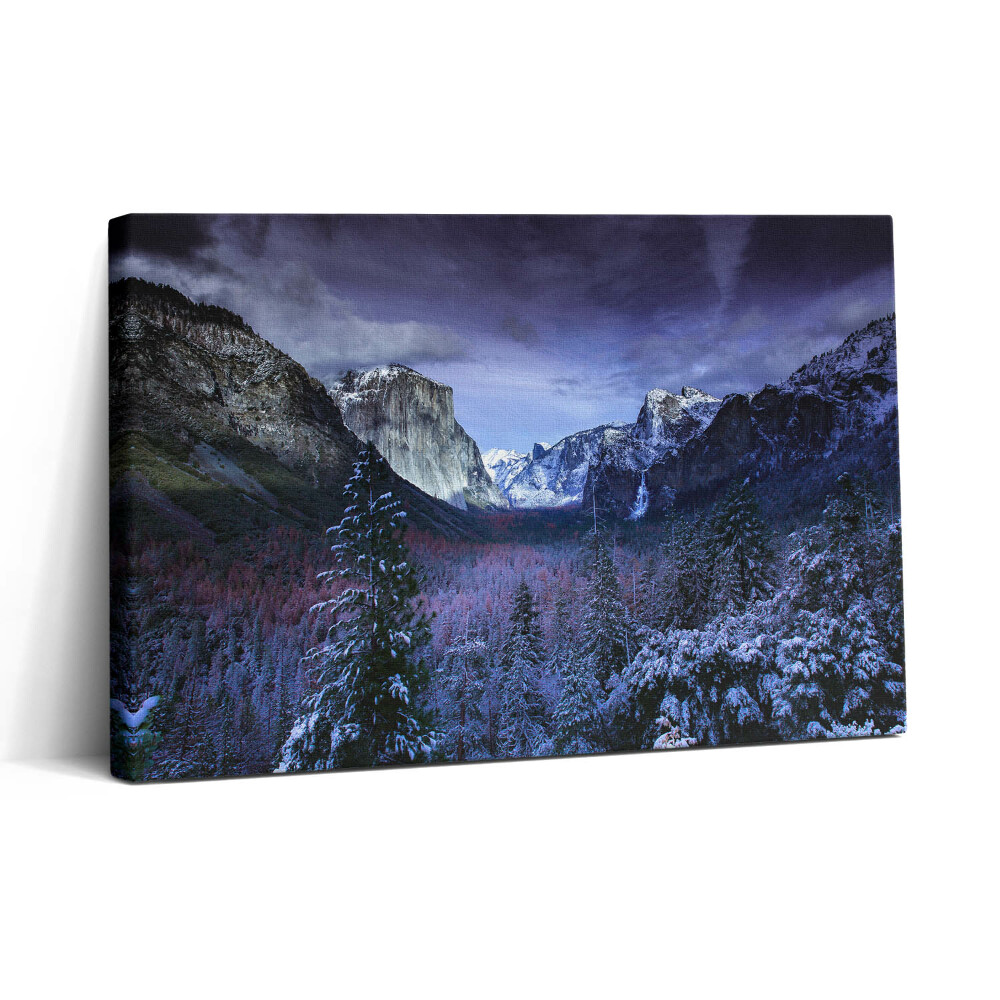 Tablou canvas 30x20 Peisaj de iarnă cu munți și păduri