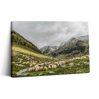 Tablou canvas 30x20 Oi într-o pajiște de munte