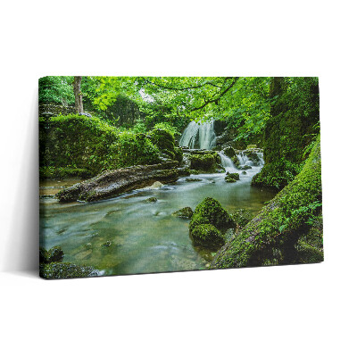 Tablou canvas 30x20 Cascadă în jungla sălbatică