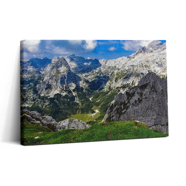 Tablou canvas 30x20 Peisajul Munților Stâncoși