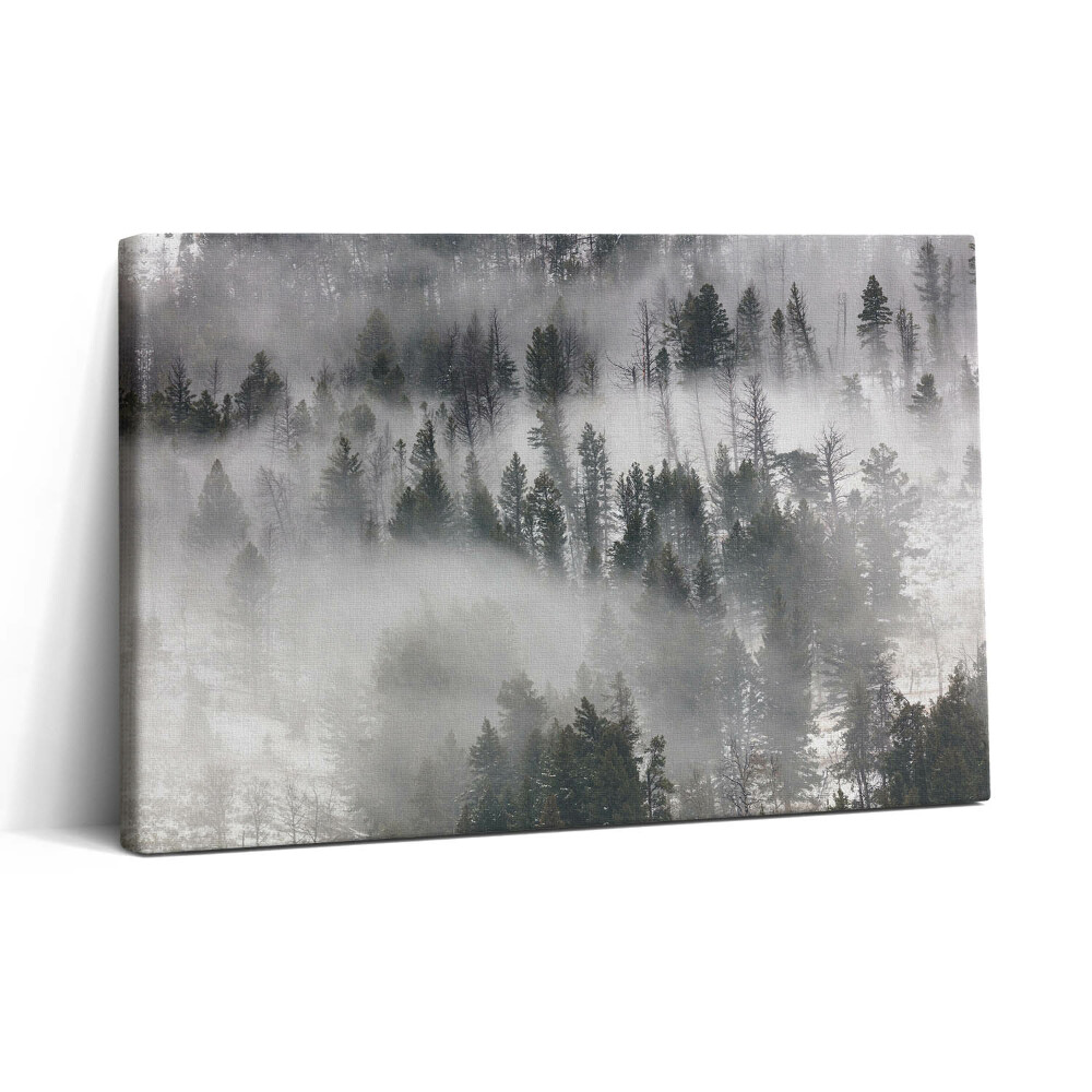 Tablou canvas 30x20 Peisaj de pădure încețoșată