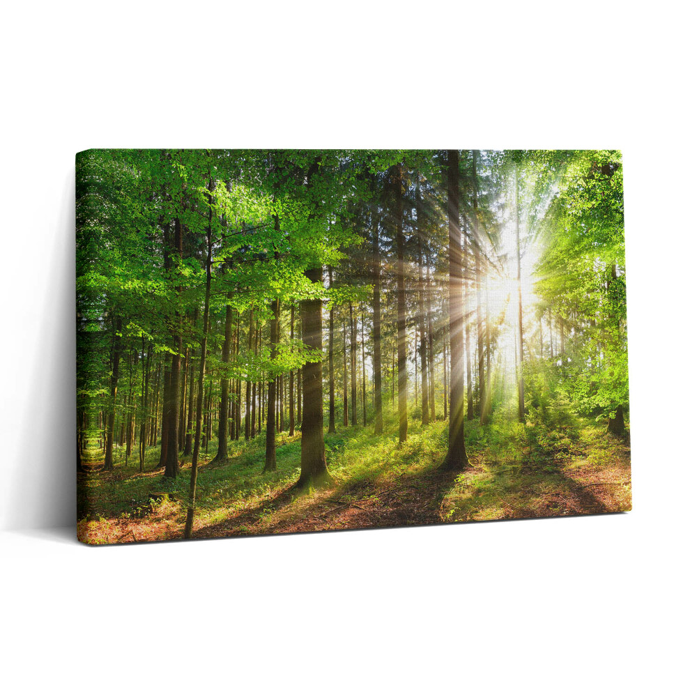 Tablou canvas 30x20 Pădure și răsărit de soare