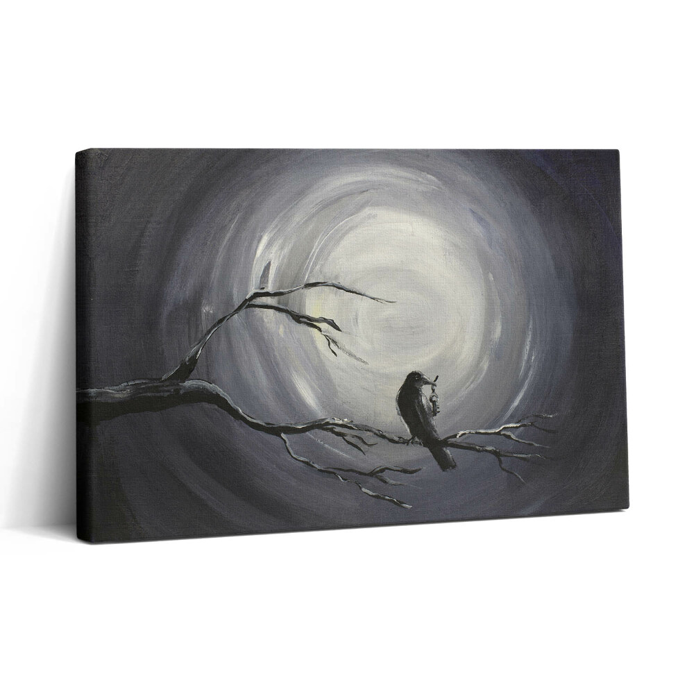 Tablou canvas 30x20 Corb în lumina lunii