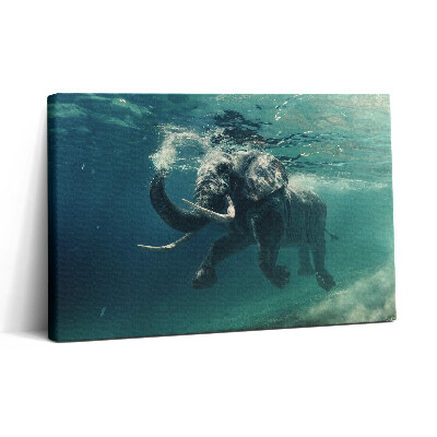 Tablou canvas 30x20 Elefant african în apă