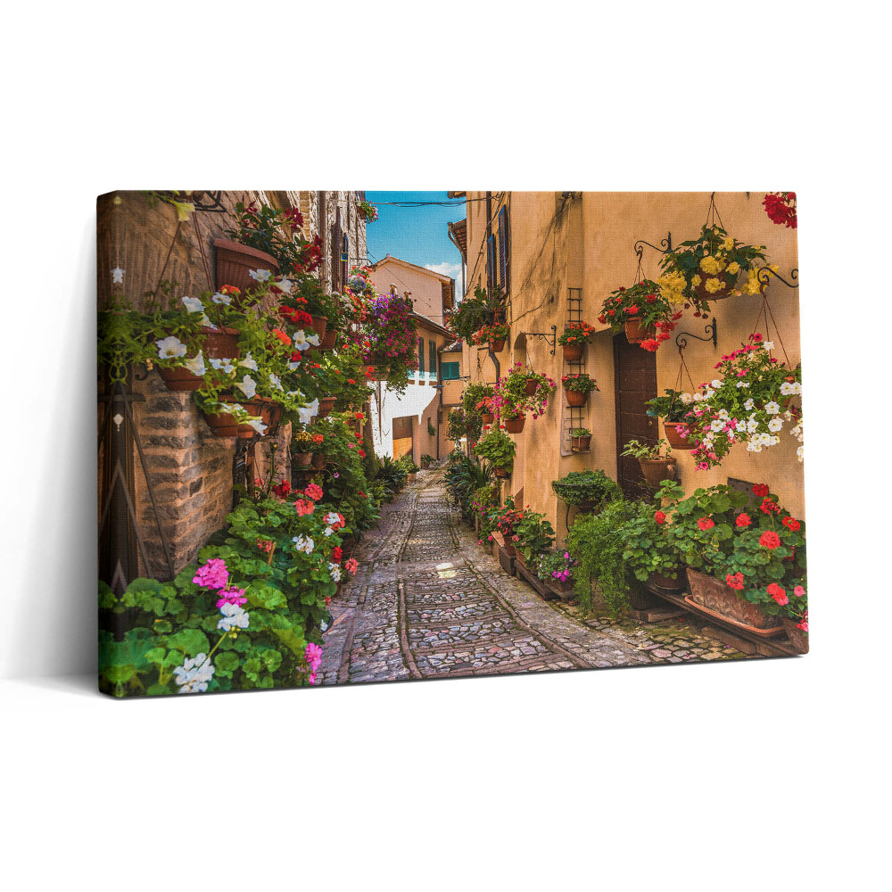 Tablou canvas 30x20 Strada Florilor din Umbria